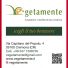 VEGETAMENTE