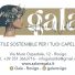 GALA HAIR WELLNESS