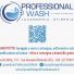 PROFESSIONAL WASH