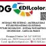 DG EDILCOLOR