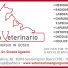 CENTRO VETERINARIO SAN GIORGIO IN BOSCO