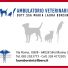 AMBULATORIO VETERINARIO DOTT.SSA MARIA LAURA BORSINI