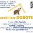 IMMOBILIARE DOROTENI