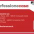 PROFESSIONECASA