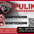 PULIK PROFESSIONAL