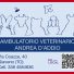 AMBULATORIO VETERINARIO ANDREA D'ADDIO