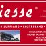 GIESSE