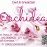 ORCHIDEA