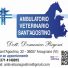 AMBULATORIO VETERINARIO SANT'AGOSTINO