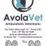 AVOLA VET AMBULATORIO VETERINARIO