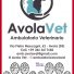 AVOLA VET AMBULATORIO VETERINARIO