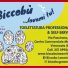 BICCOBU ...LAVAMI TU