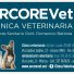 ARCOREVET CLINICA VETERINARIA