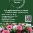 FLORICOLTURA FAVARO