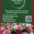 FLORICOLTURA FAVARO
