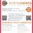 ANDREA CATENA ENGINEERING