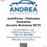 ANDREA AUTOMOTIVE