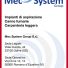 MEC SYSTEM GROUP