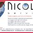 NICOLINI SERVICE