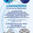 1A CLEAN - LAVANDERIA PENNY