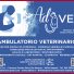 AD VET