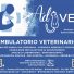 AD VET