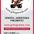 GRIFO GOMME