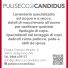 PULISECCO CANDIDUS
