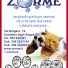 ZORME