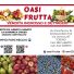 OASI FRUTTA