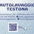 AUTOLAVAGGIO TESTONA