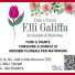FIORI E PIANTE F.LLI GALIFFA