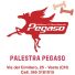 PALESTRA PEGASO