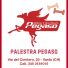 PALESTRA PEGASO