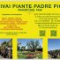VIVAI PIANTE PADRE PIO