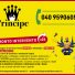PRINCIPE