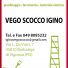 VEGO SCOCCO IGINO