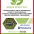 GEMAR GROUP