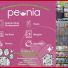 PEONIA