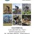 CICLI STORE