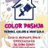 COLOR PASHJA