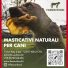 CARTOLERIA MATTINA