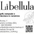 LIBELLULA