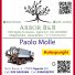 ARBOR B&B