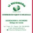 IL SICOMORO