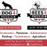 BEES 4 PASSION