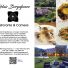 RELAIS BORGOFASCEO