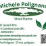 MICHELE POLIGNANO