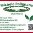 MICHELE POLIGNANO