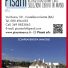 PISANI